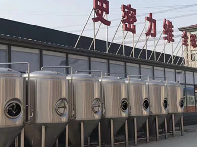 南陵精酿啤酒设备厂—市场规模与跨界新需求